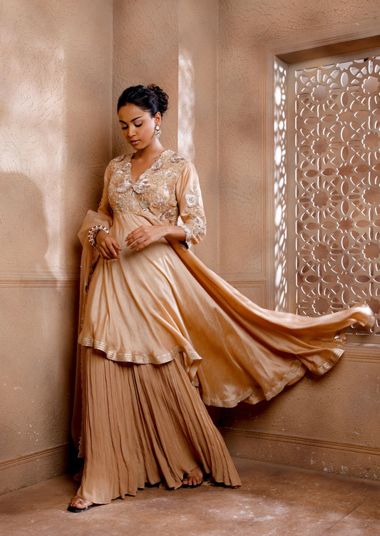 Asymmetrical Anarkali with beautiful Velvet Dori & 3D Embroidery paired with a sharara & heavy dupatta.