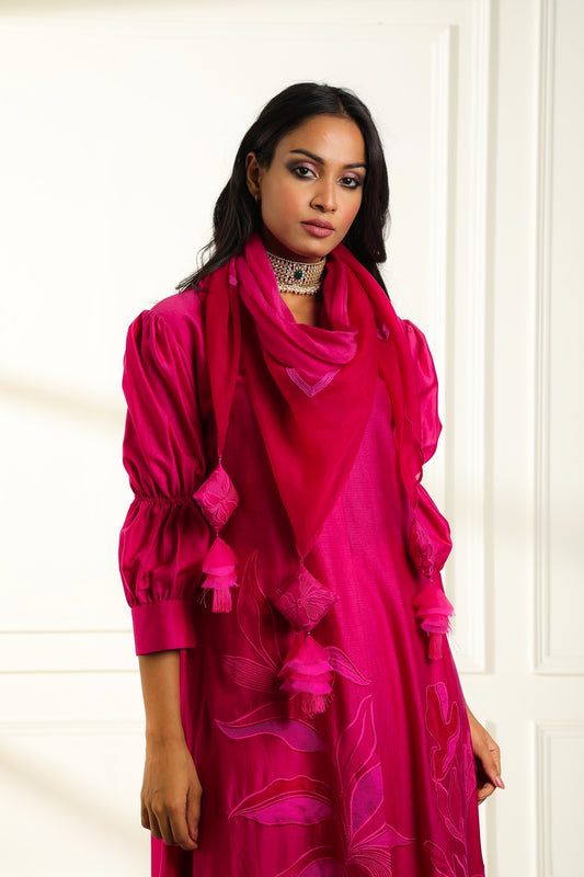 Pink Safina Applique Suit Set