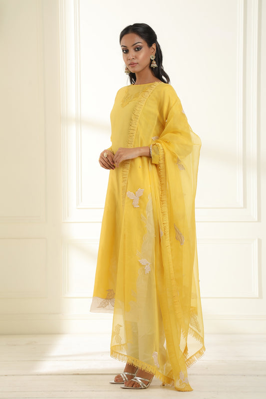 Yellow Farah Applique Suit Set
