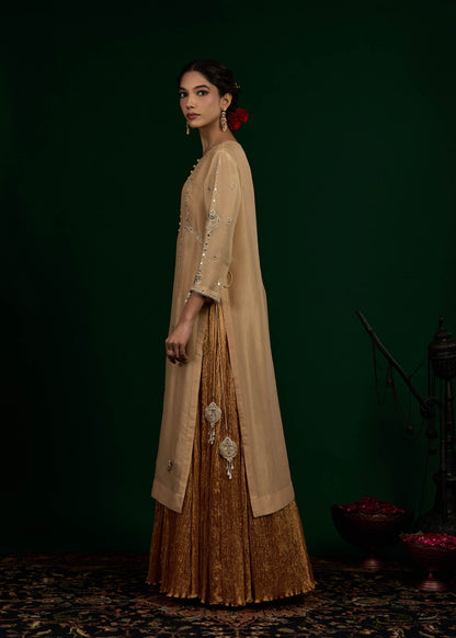 Chand Kurta with Crush Maxi Set - Beige & Gold