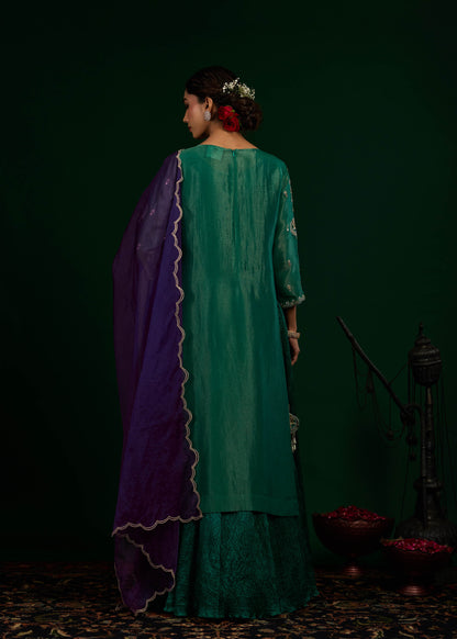 Chand Kurta with Crush Maxi Set - Green