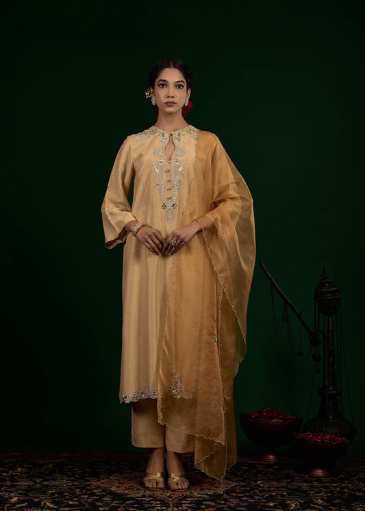 Taraani Kurta Set - Beige