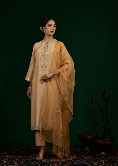 Taraani Kurta Set - Beige