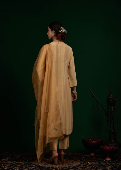 Taraani Kurta Set - Beige