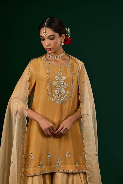Ruhani Sharara Set - Gold