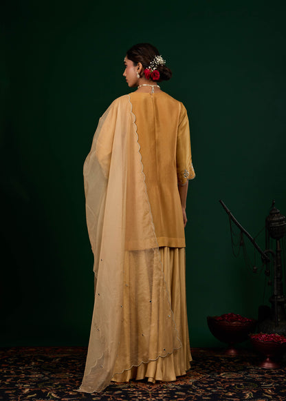 Ruhani Sharara Set - Gold
