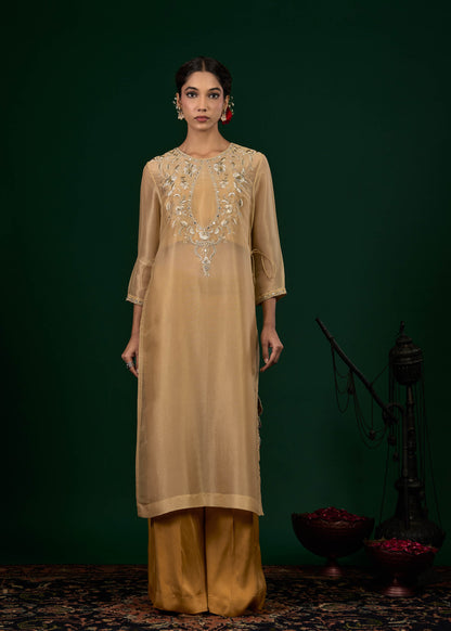 Gulnaar Tissue Kurta with Slip & Trousers - Gold & Beige