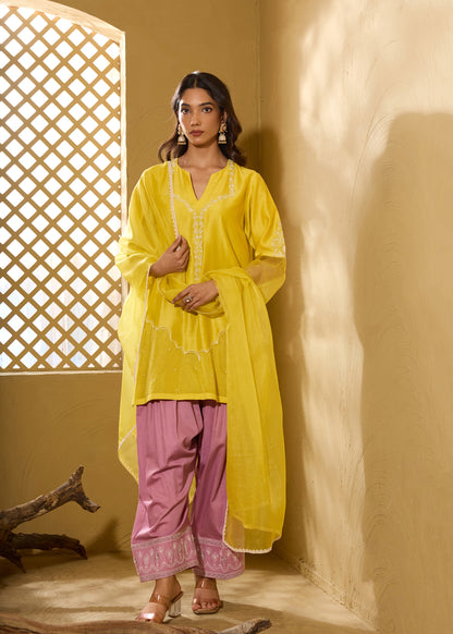 Armani Farshi Salwar Kurta Set - Lime & Purple