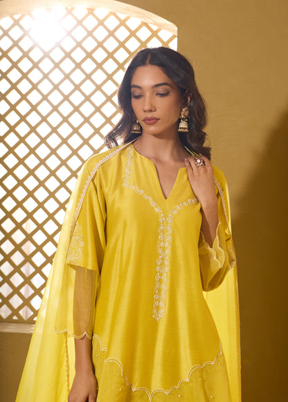 Armani Farshi Salwar Kurta Set - Lime & Purple
