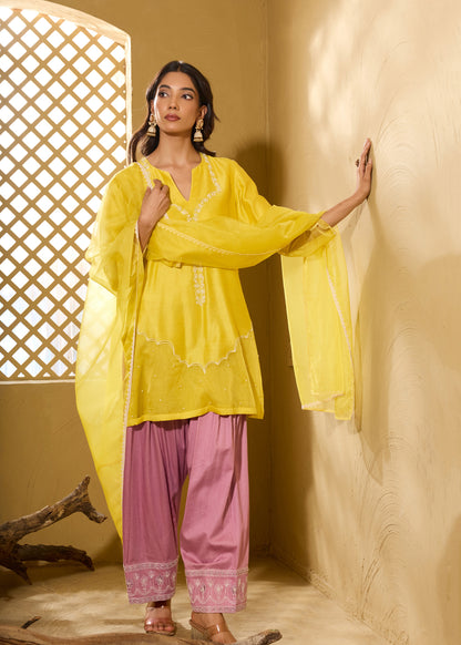 Armani Farshi Salwar Kurta Set - Lime & Purple