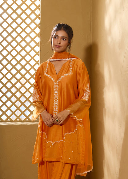 Armani Farshi Salwar Kurta Set - Orange