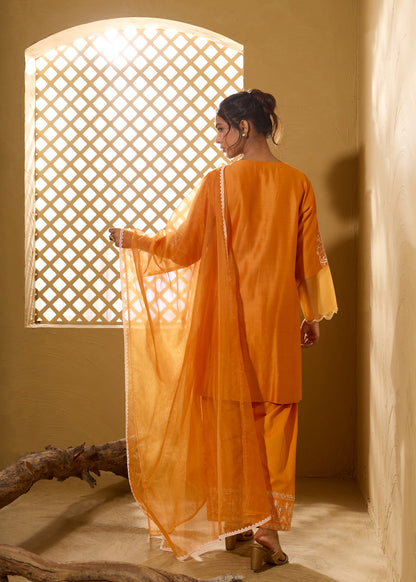 Armani Farshi Salwar Kurta Set - Orange