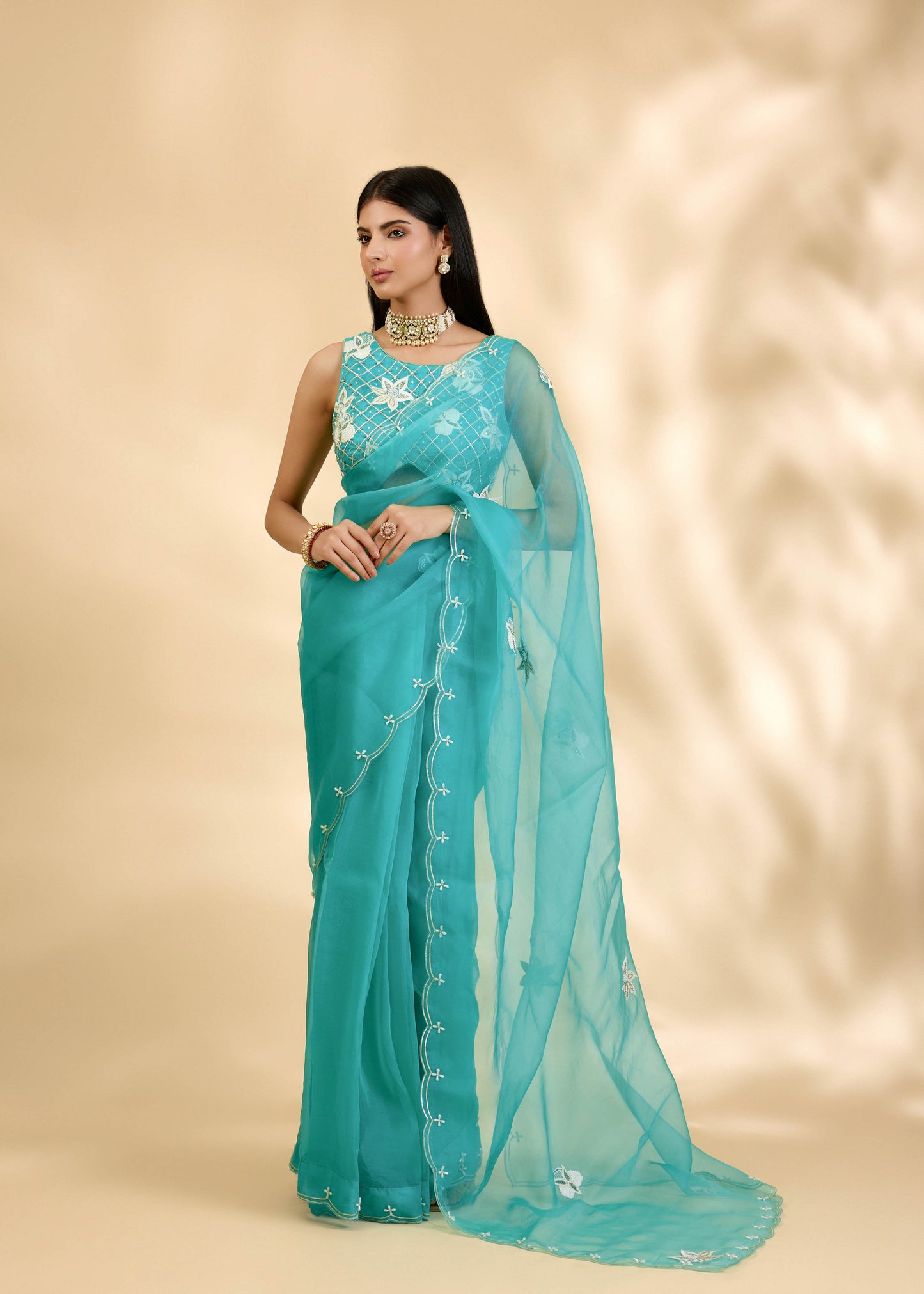 Firozi Nargis Embellished Sari Set
