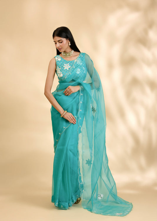Firozi Nargis Embellished Sari Set
