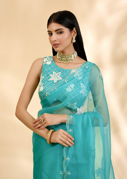 Firozi Nargis Embellished Sari Set