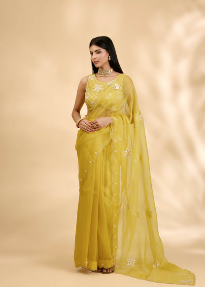 Kesar Nargis Embellished Sari Set