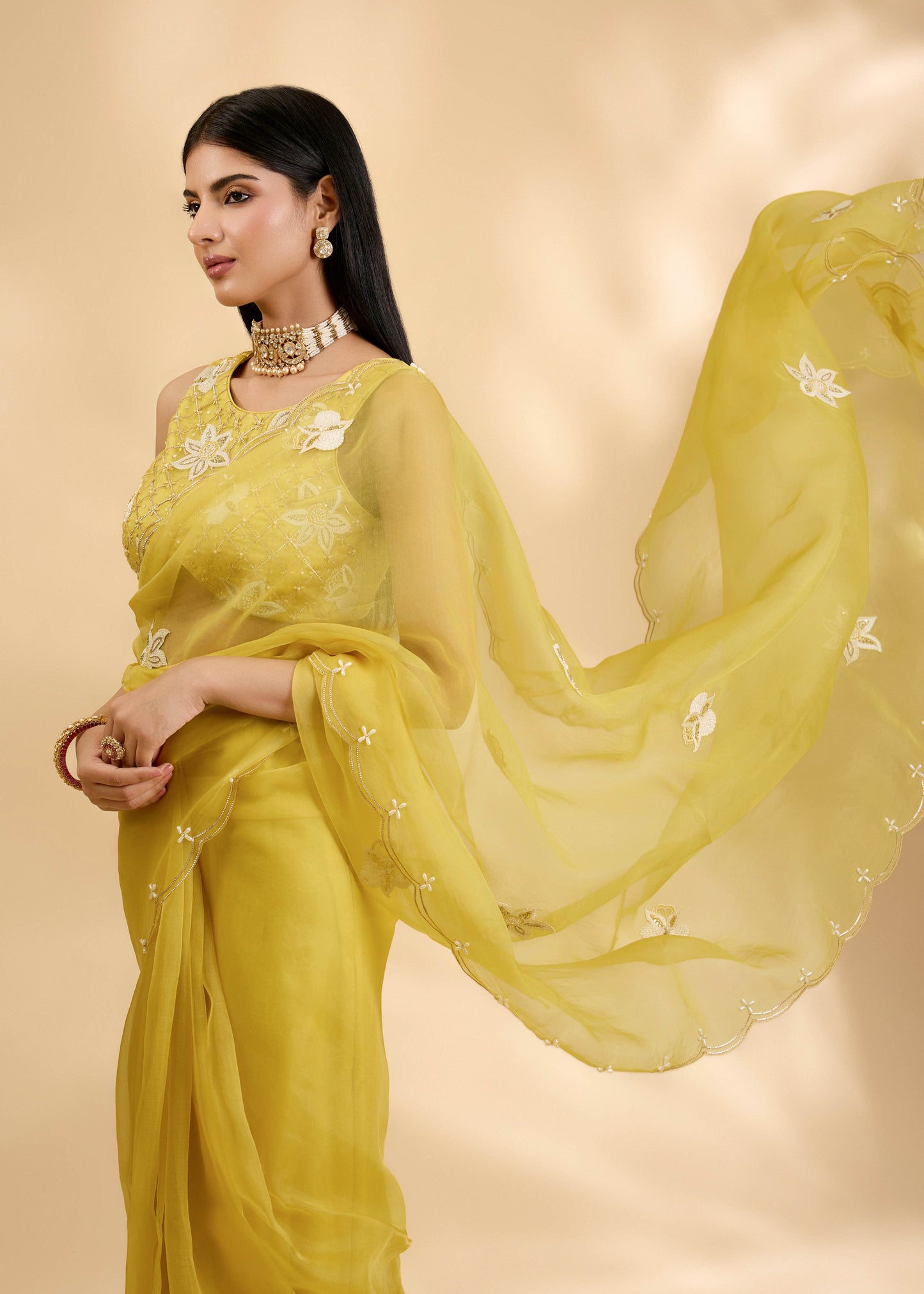 Kesar Nargis Embellished Sari Set
