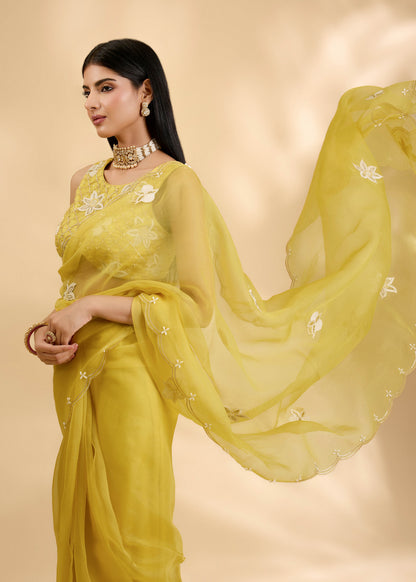 Kesar Nargis Embellished Sari Set