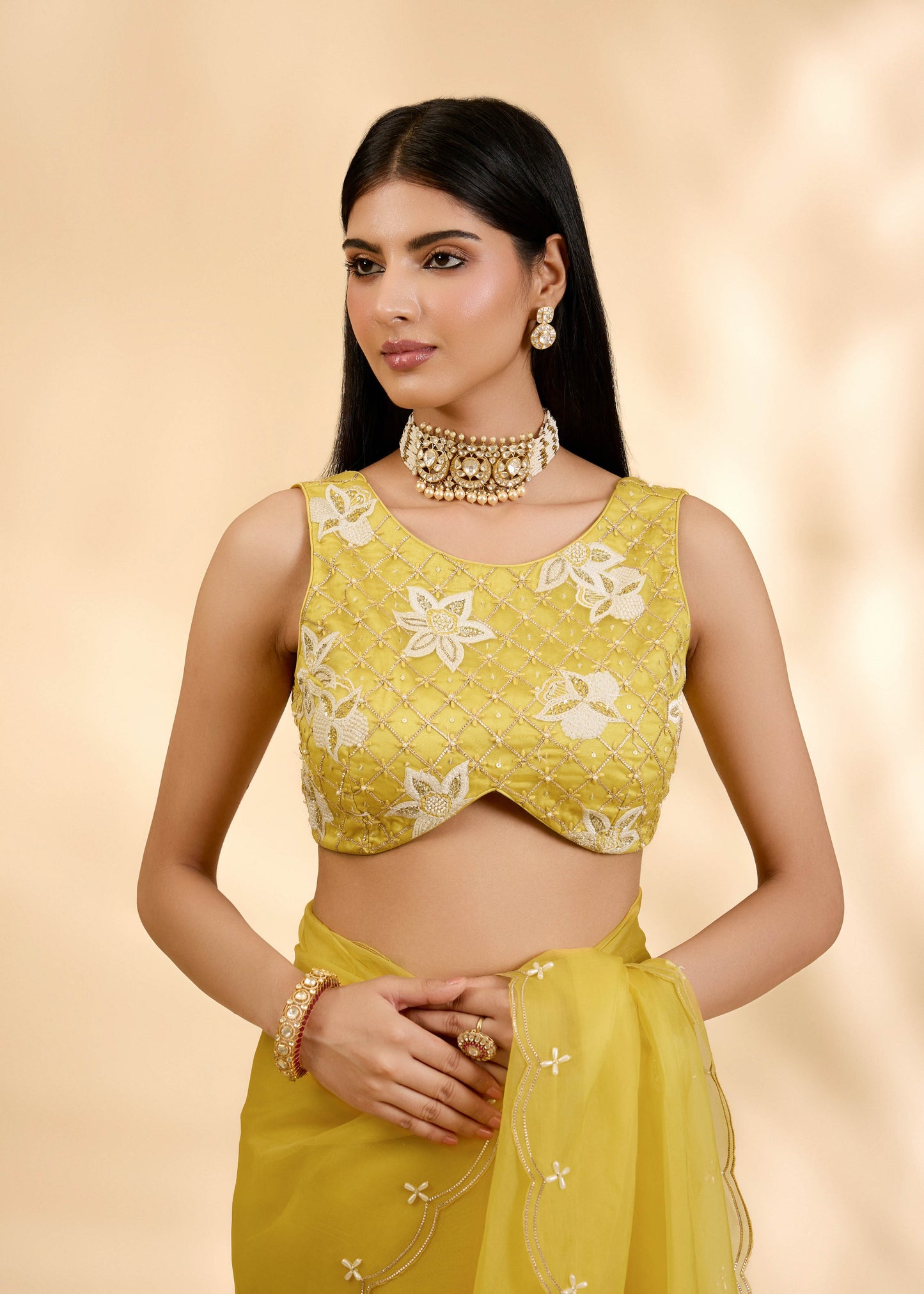 Kesar Nargis Embellished Sari Set
