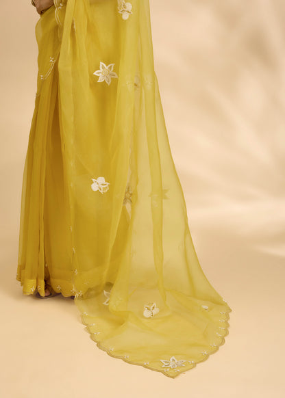 Kesar Nargis Embellished Sari Set